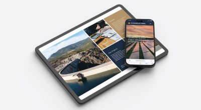 Professional website design by Success Marketing